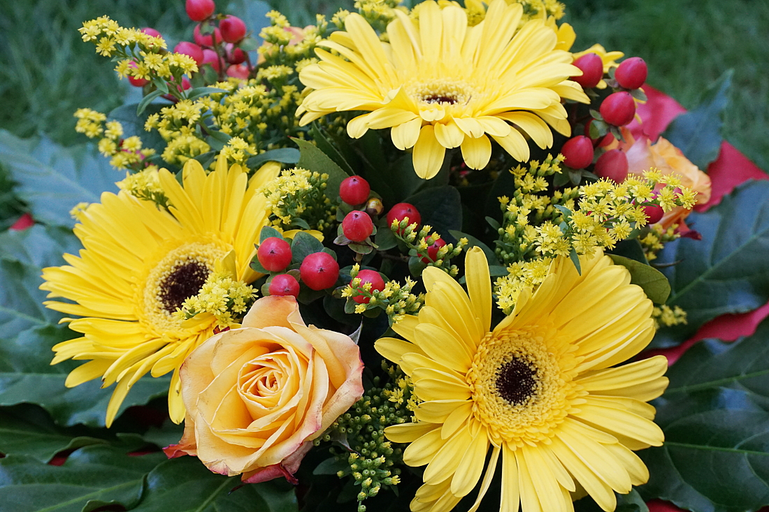 Blumenstrauß Geburtstag lizenzfreie Fotos / Bilder kostenlos