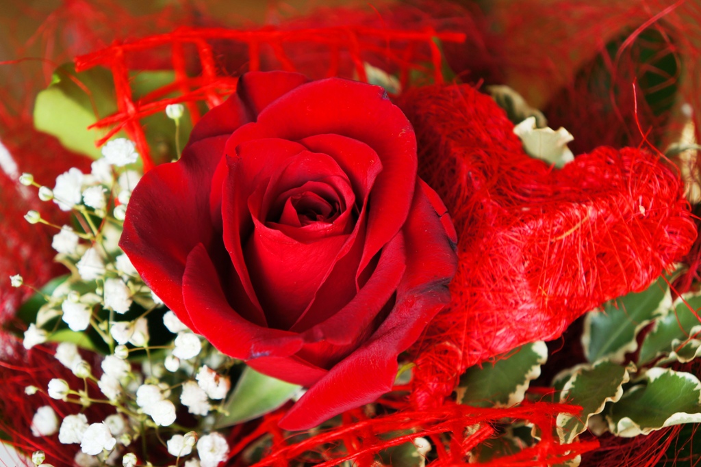 blumenstrauß  rote rose mit herz  lizenzfreie fotos