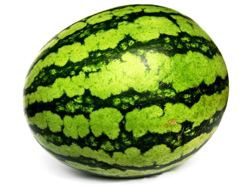 Melone