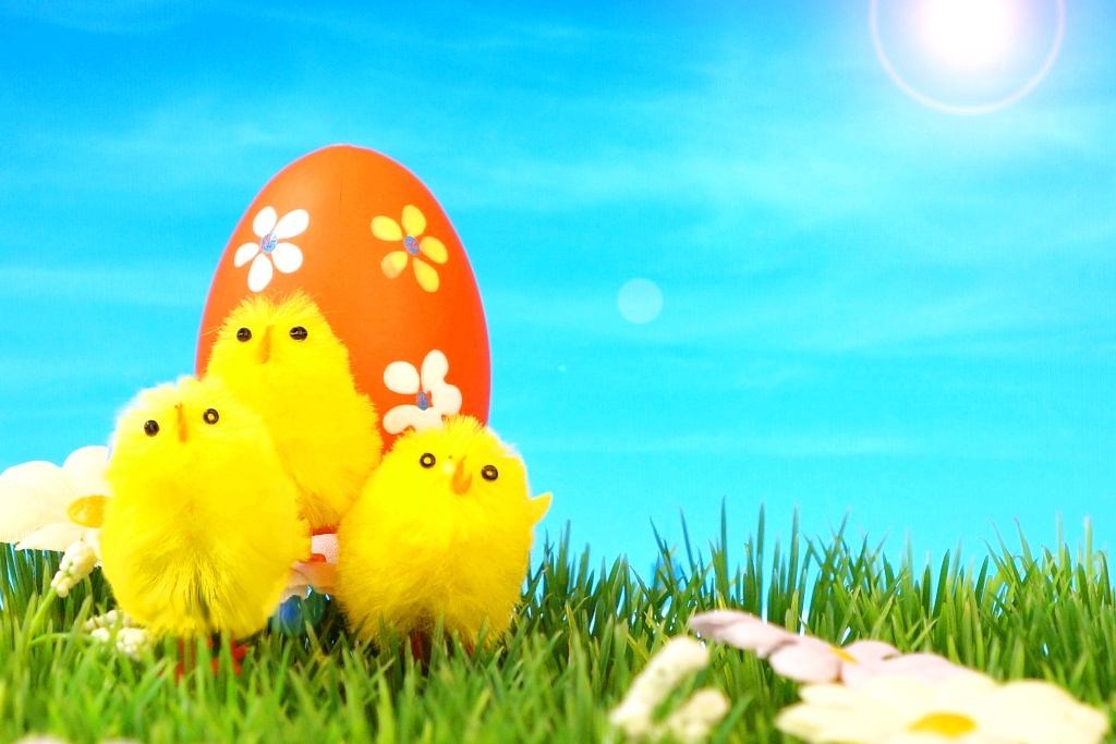 Frohe Ostern – 3 Küken und 1 Osterei