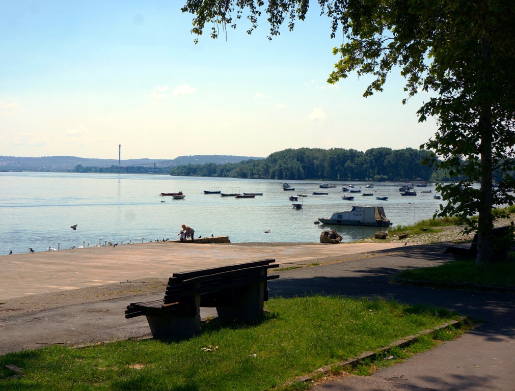 Ufer Donau Belgrad