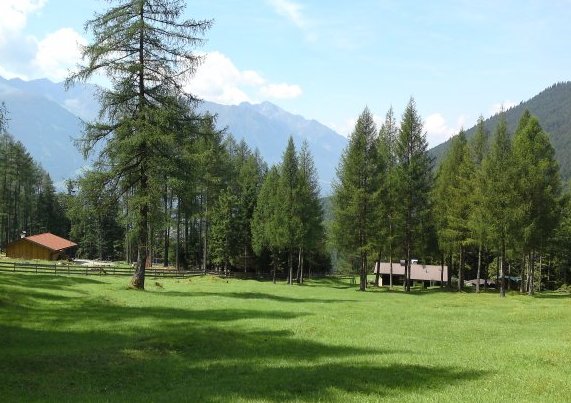 Brunntal – Ehnbachklamm Wiese