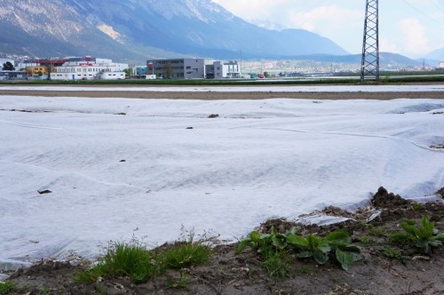 Feld-unter-Flies-Kaelteschutz-Agrar