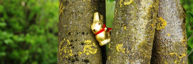 Osterhase am Baum