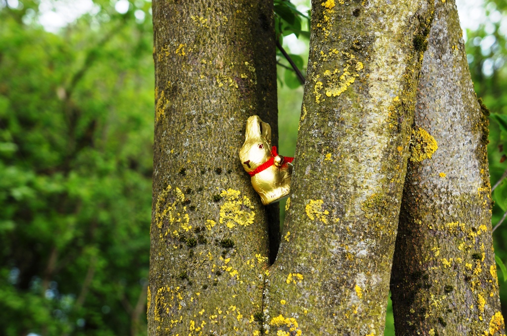 Osterhase am Baum