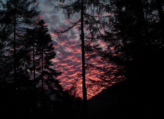 Sonnenuntergang Wald