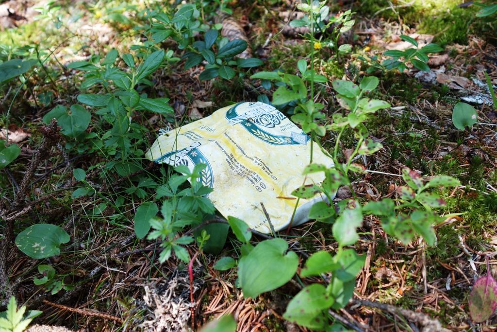 Umweltverschmutzung Bierdose im Wald