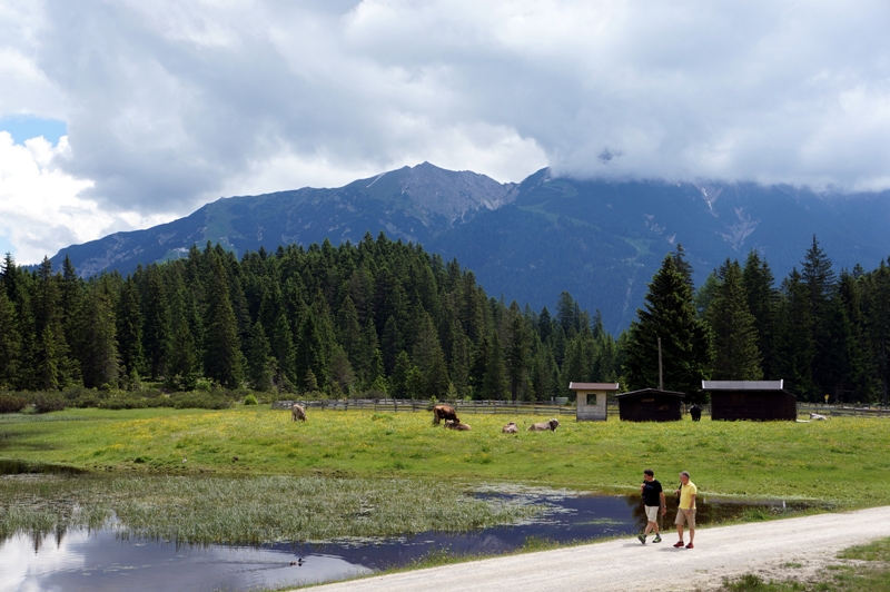 Almwiese See Wald