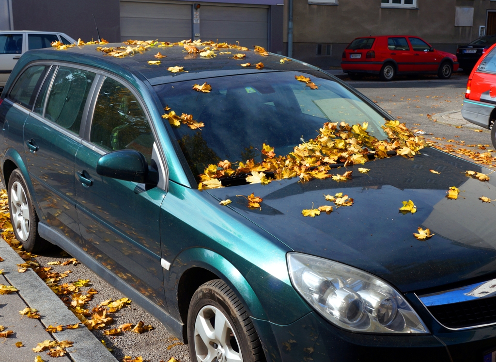 Herbst – Auto unter Blättern