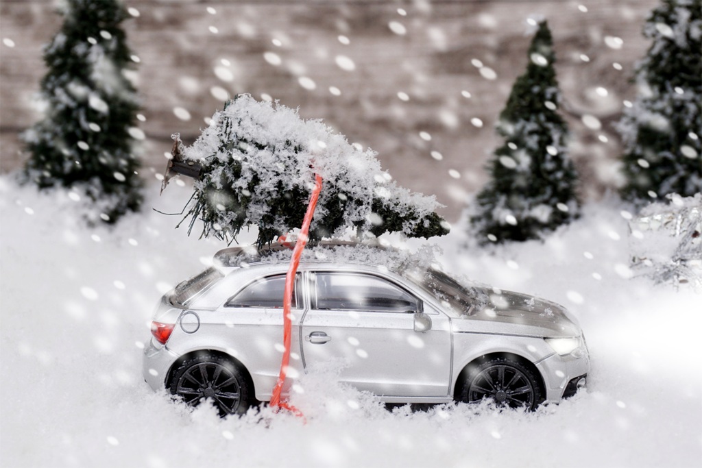 Auto mit Tannenbaum im Schneefall