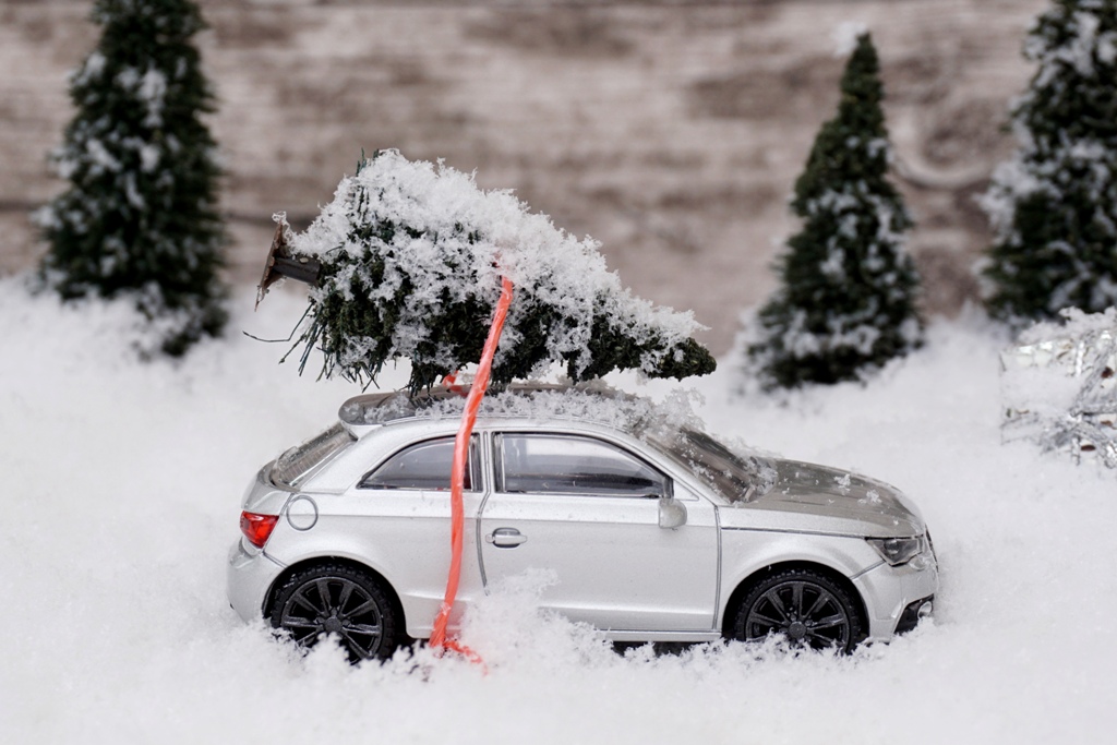 Auto mit Tannenbaum auf dem Dach