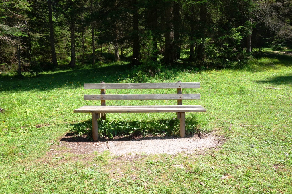 Eine Bank steht im Wald