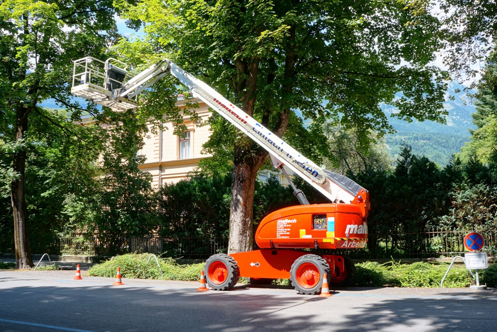 Baumschnitt mit Hubsteiger