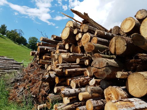 Baumstämme gestapelt