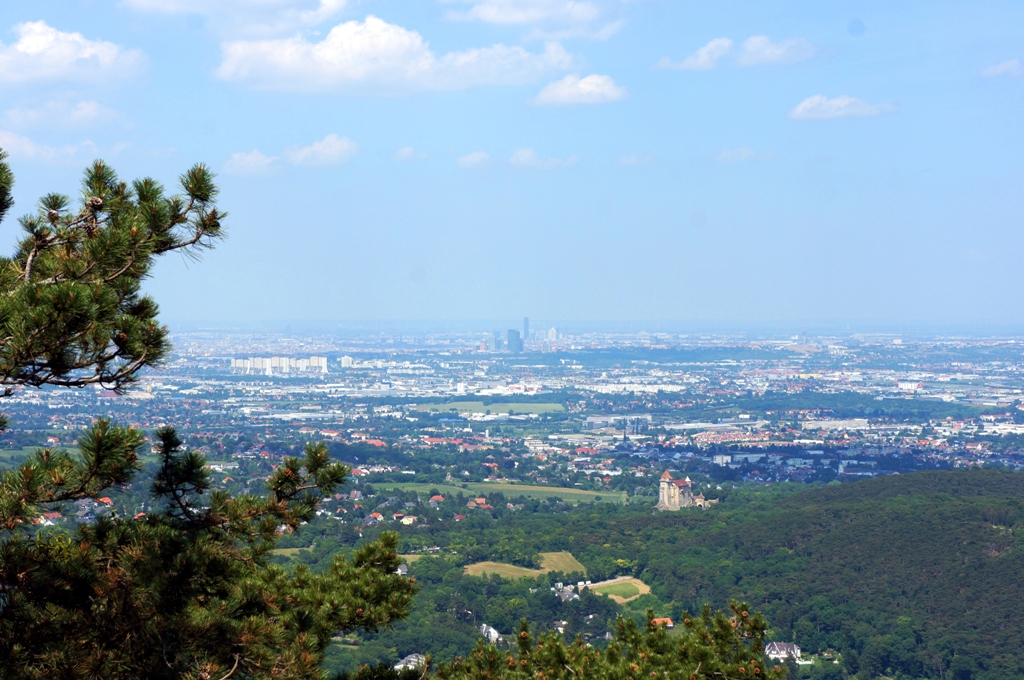 Ausblick auf Wien