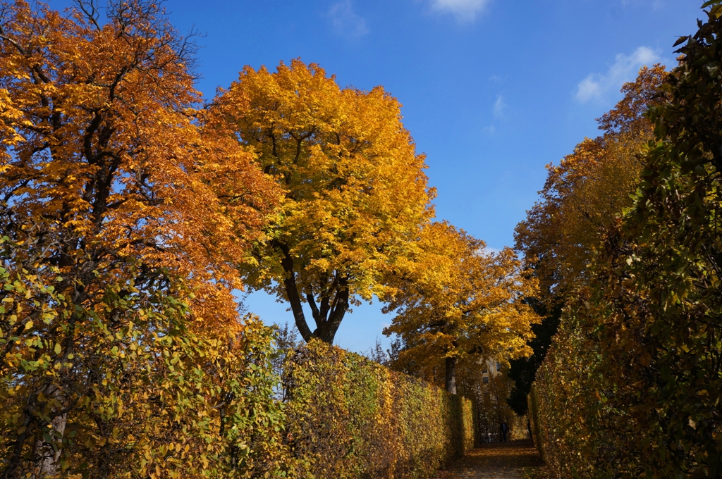 Herbstbeginn – bunte Bäume