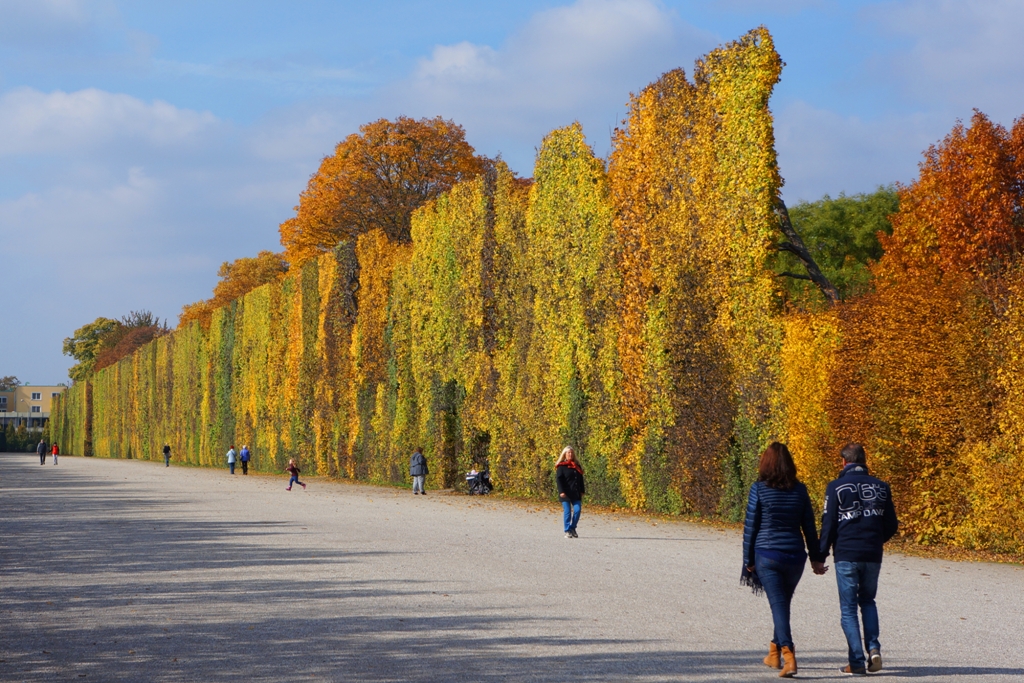 Bunte Herbstwand