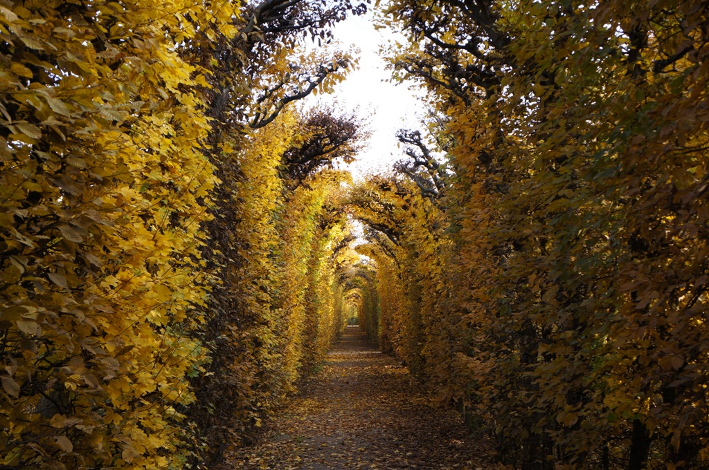 Herbst – bunter Blätterbogen