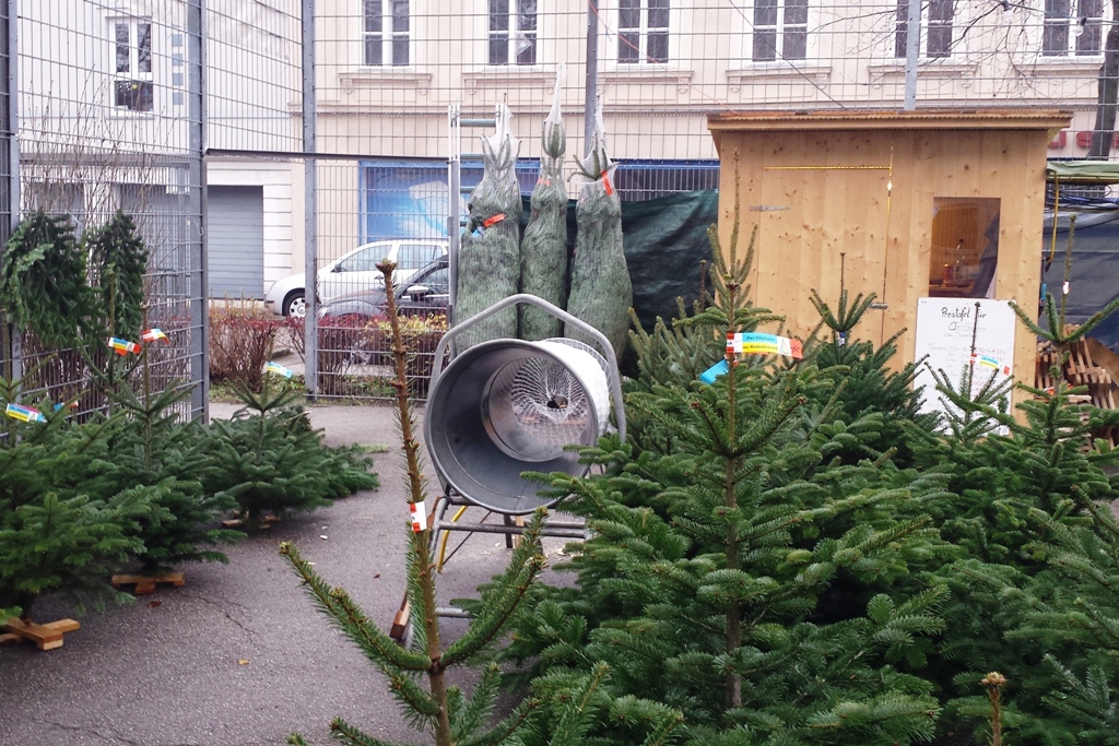 Christbaum kaufen