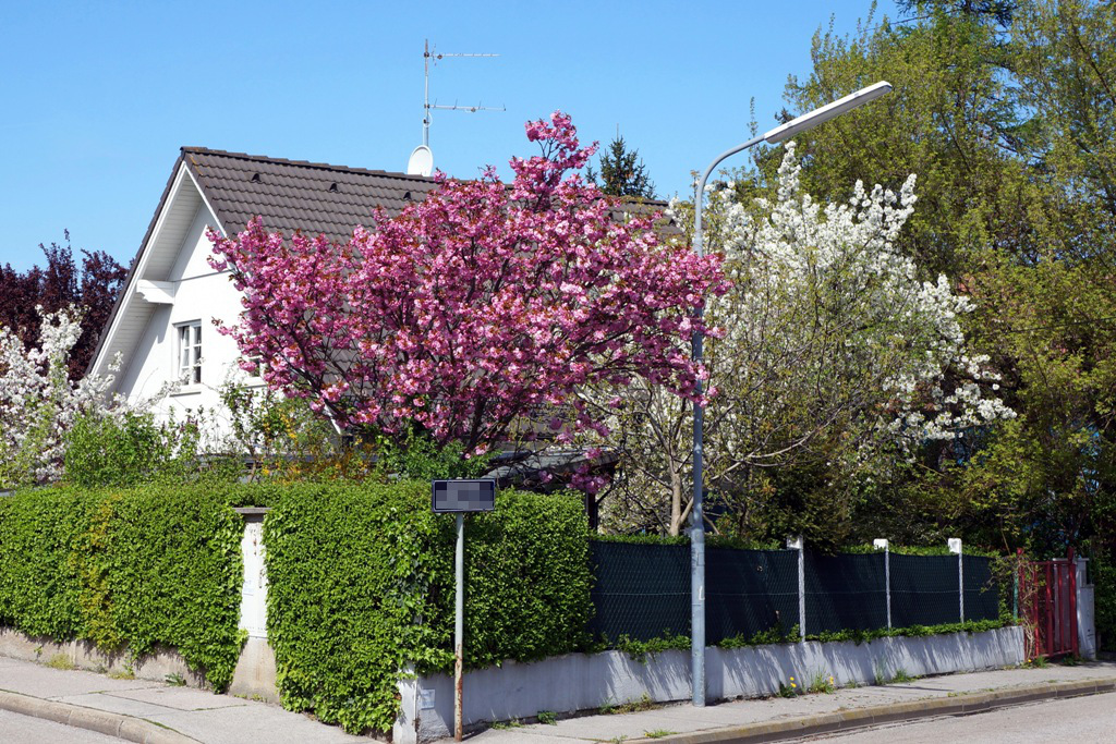 Frühling Einfamilienhaus