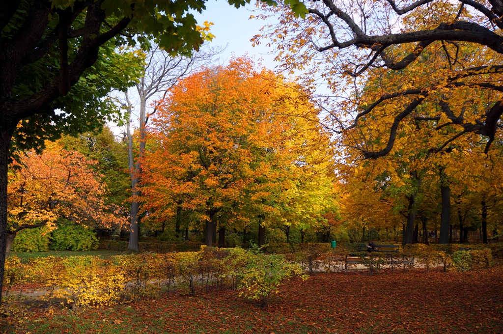 Herbst – Bunte Fantasiewelten