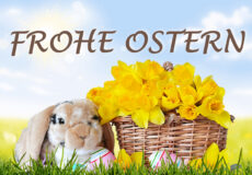 Frohe Ostern Bilder Hase mit Tulpenkorb