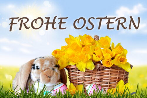 Frohe Ostern Bilder Hase mit Tulpenkorb