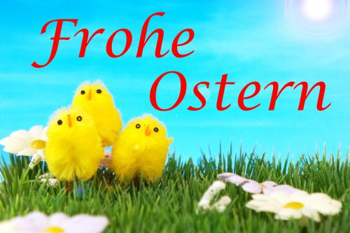 Frohe Ostern Küken Wiese