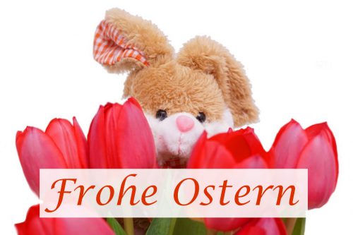 Frohe Ostern Tulpen Osterhase