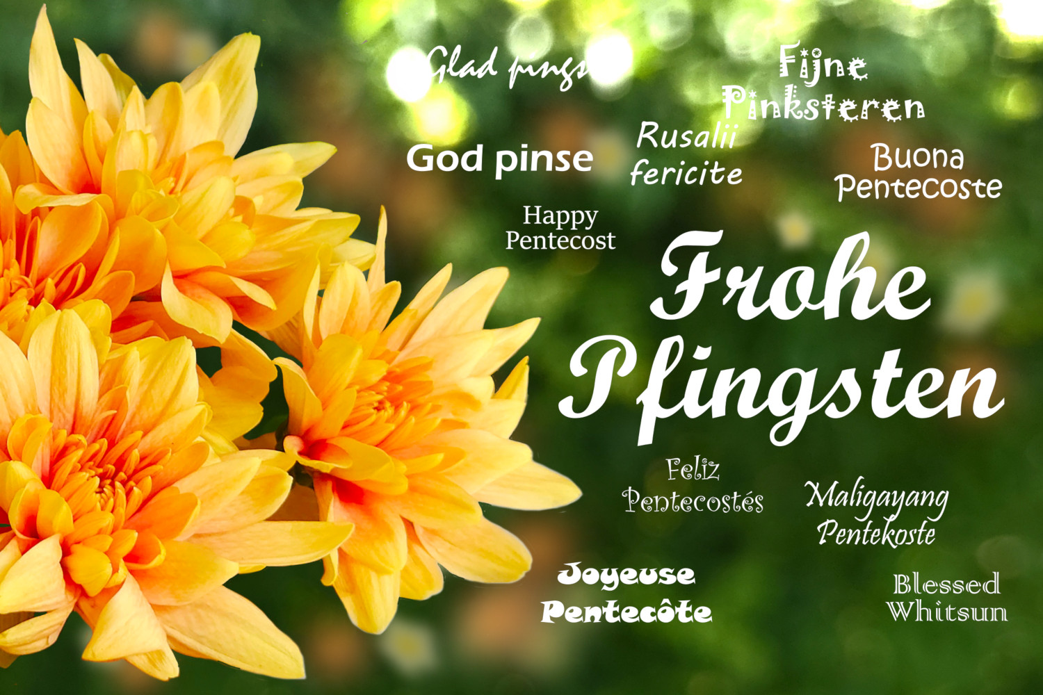 Frohe Pfingsten in vielen Sprachen