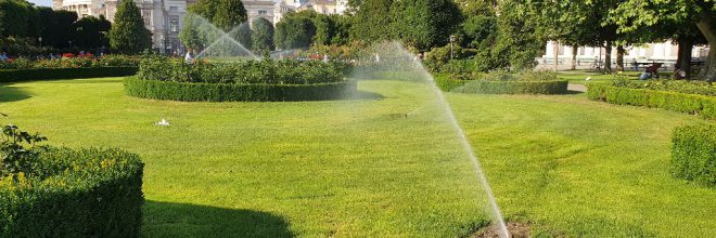 Gartenpflege Bewässerung Wassersprinkler