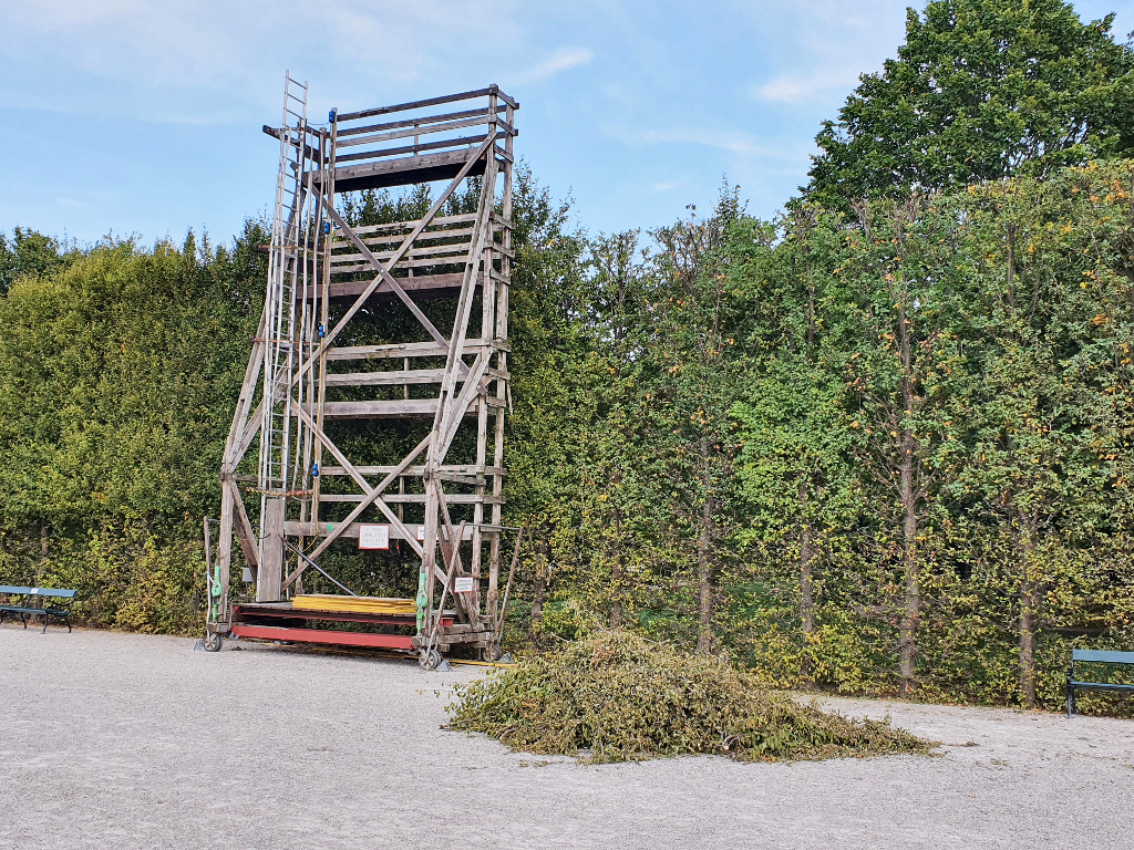 Gartenpflege Heckenschnitt