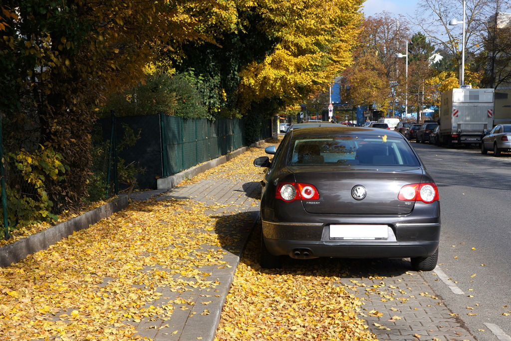 Herbstlaub Straße