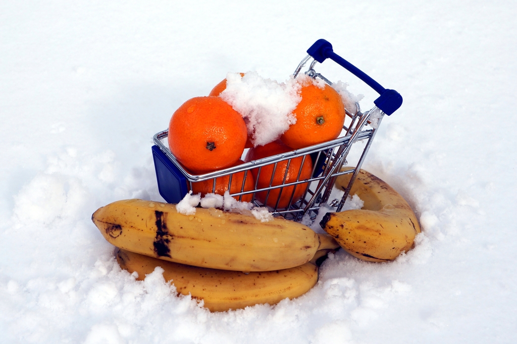 Ohne Erkältung durch den Winter!