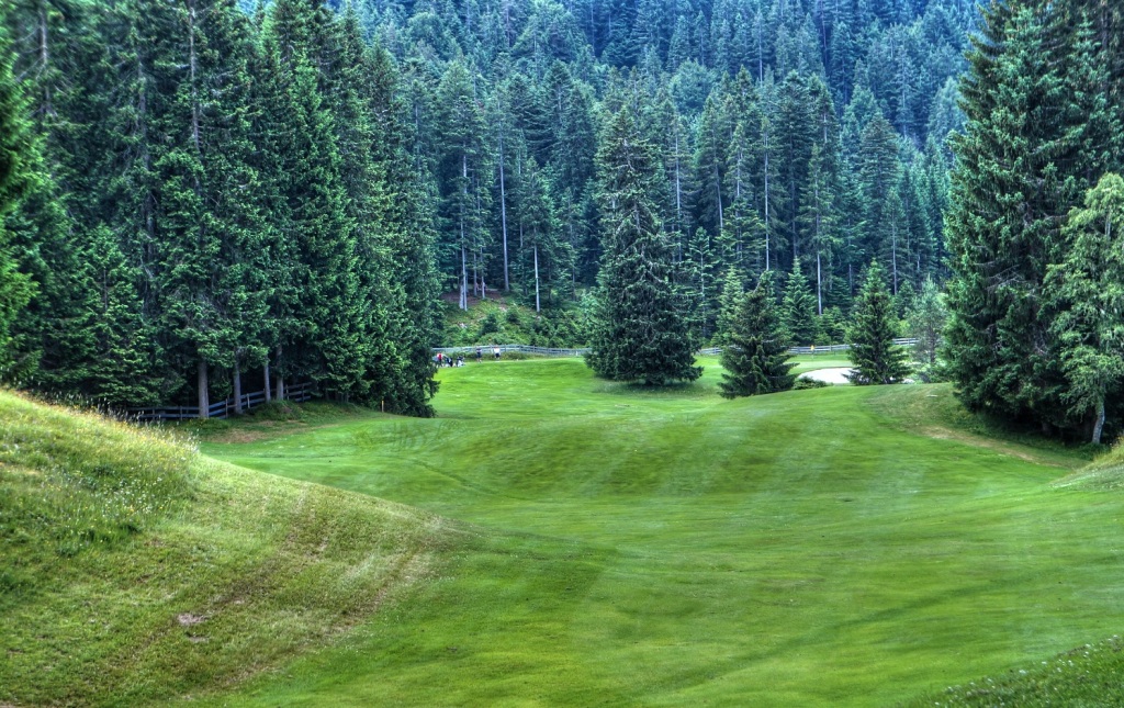 Golfplatz Wald Seefeld