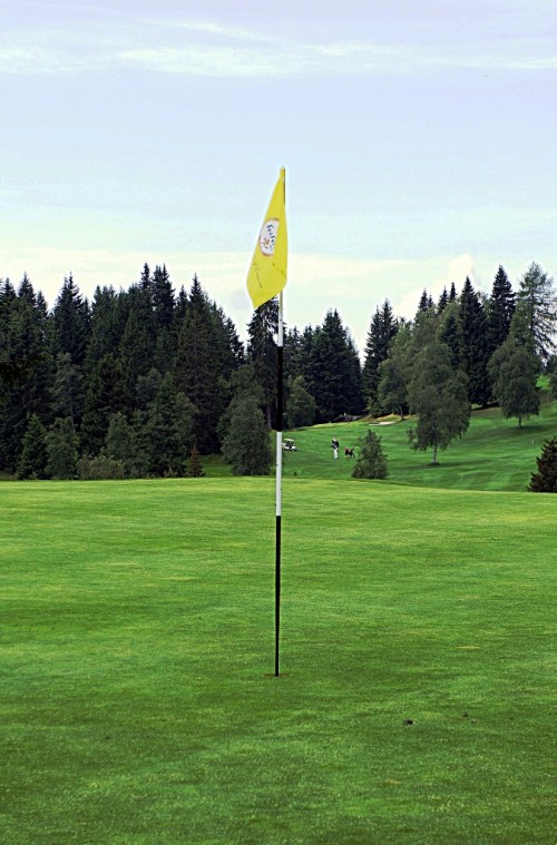 golfplatz_green