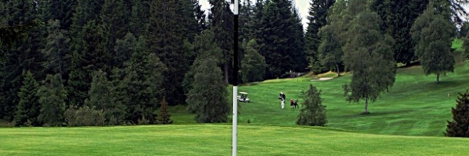 golfplatz_green