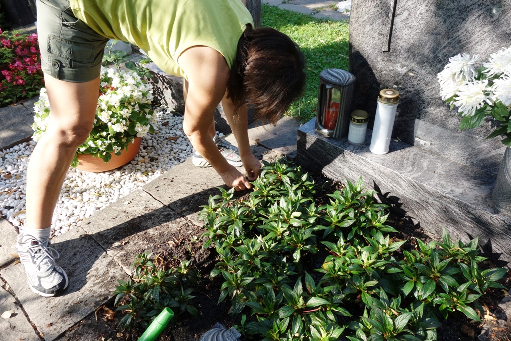 Friedhof Grabpflege