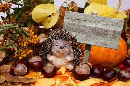 Herbst Bild Hintergrund