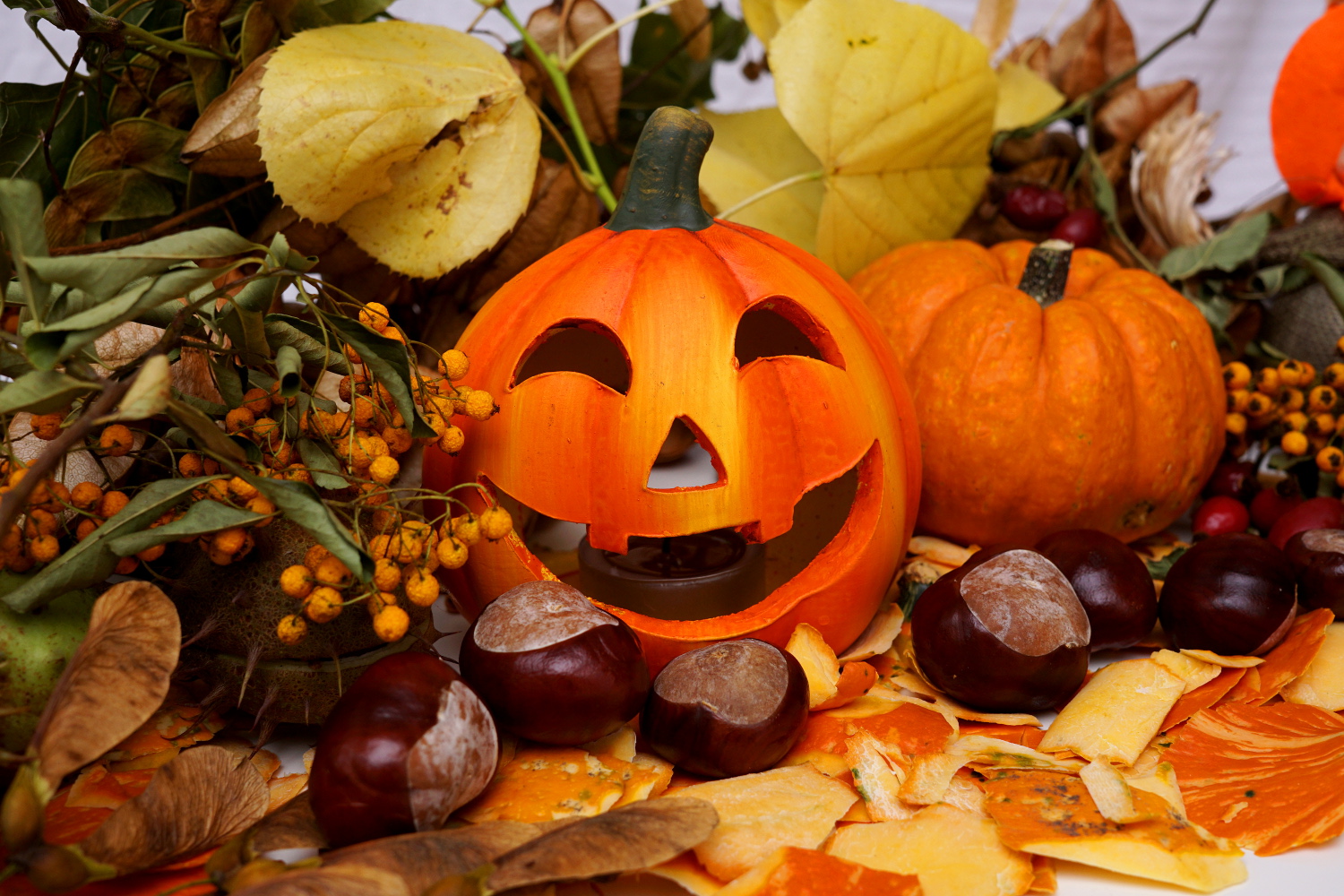 Halloween Herbst 3 - lizenzfreie Bilder | kostenloser Support