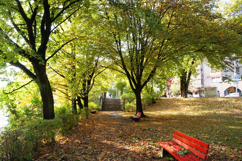 Herbst, Laub und Blätter