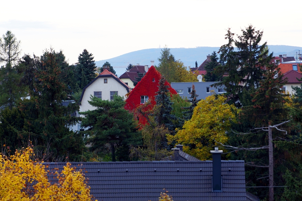 Das „Rote Haus“