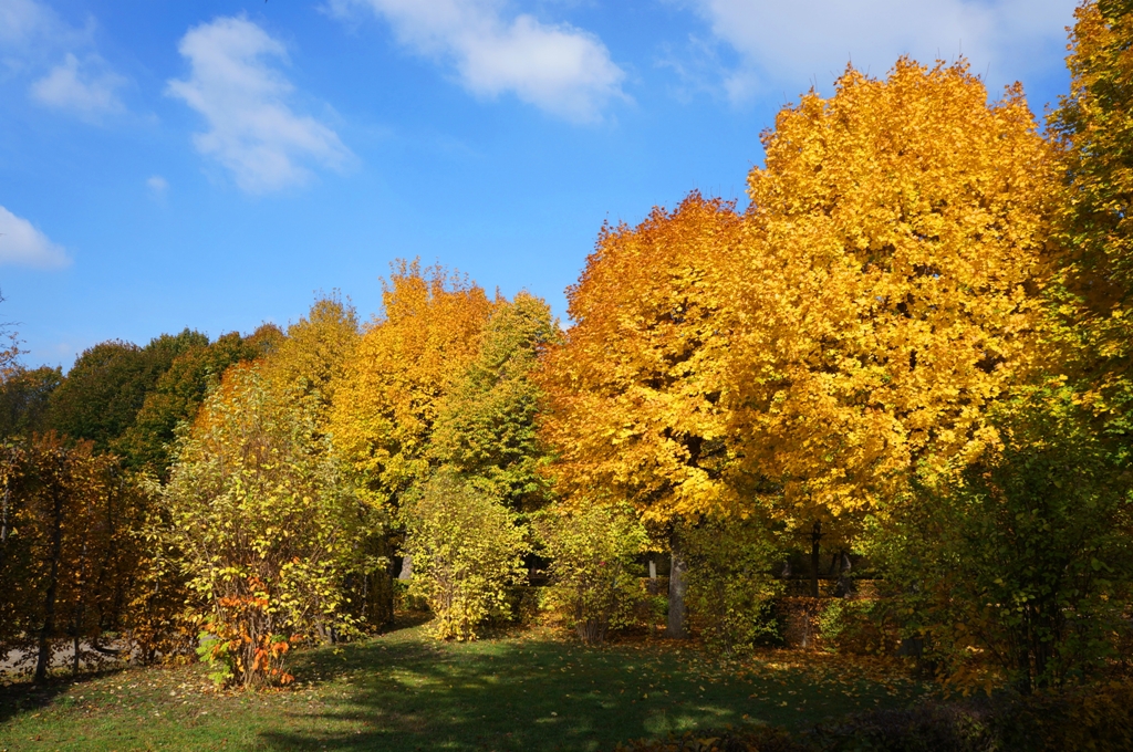 Wunderschöner Herbst – Herbstbeginn