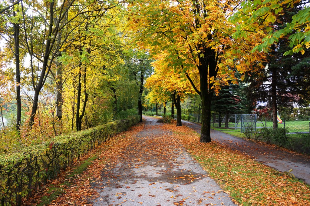 Promenade, Herbstweg