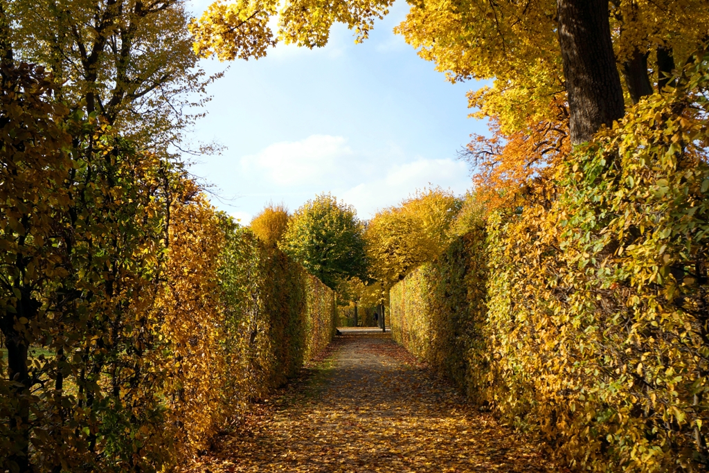 Buntes Herbstwunderland