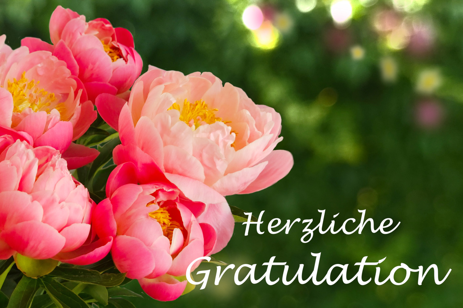 Herzliche Gratulation