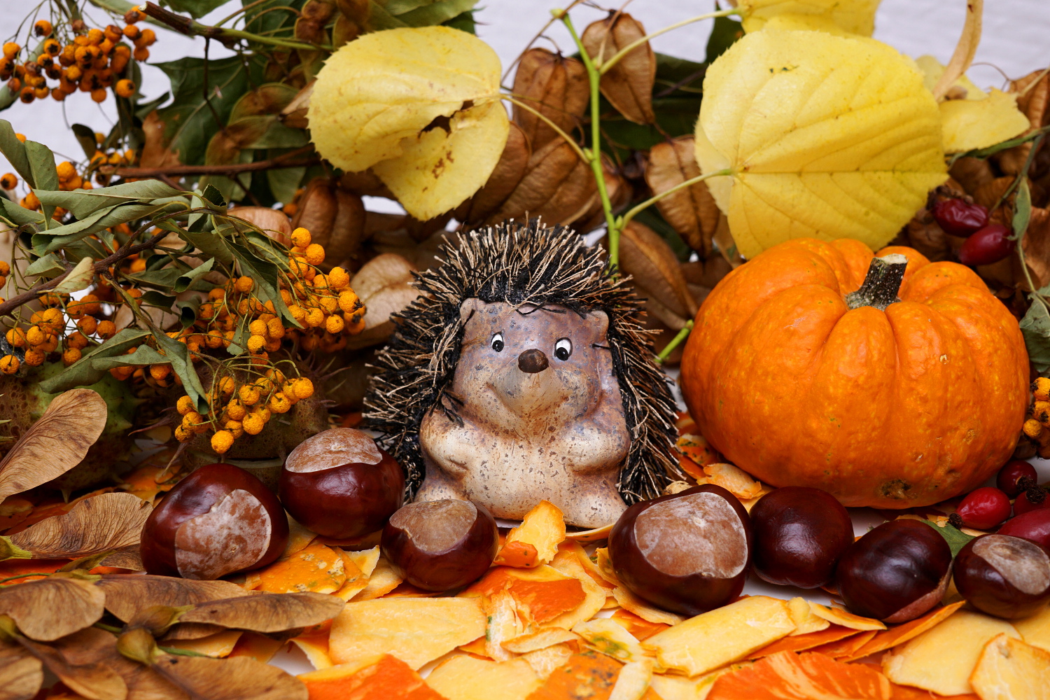 Herbstlandschaft mit Igel