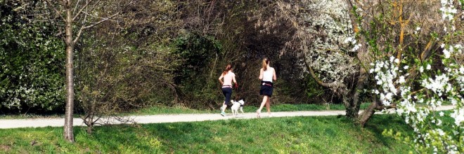 jogger-mit-hund-fruehling