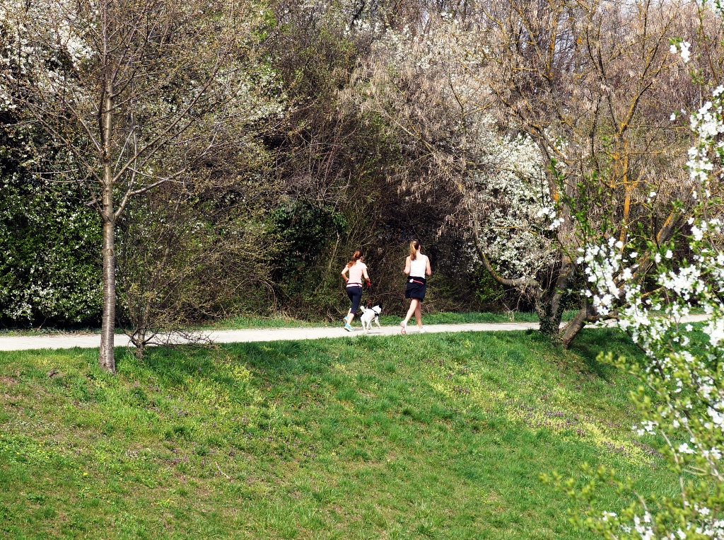 Jogger mit Hund Frühling