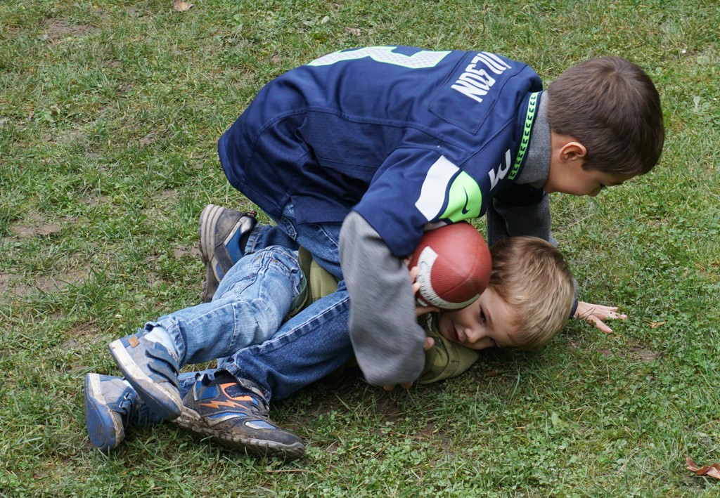 Kinder raufen auf Wiese